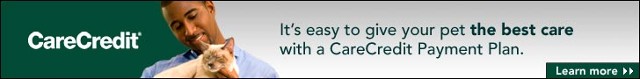 care credit banner